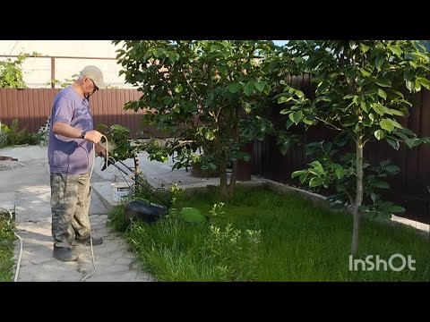 Видео: Придбав газонокосилку, приємно здивований #инсульт  #сад