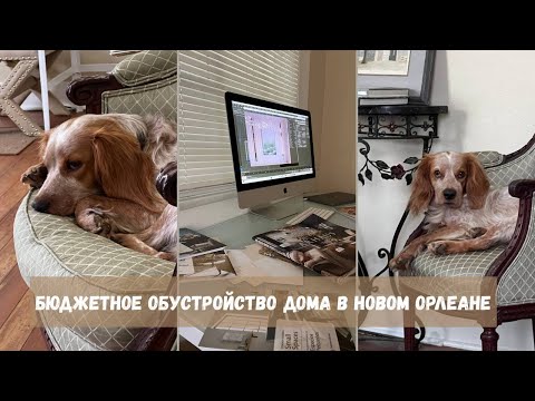 Видео: Как мы находили мебель для нашего дома в Новом Орлеане | Семейный ВЛОГ