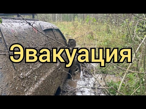 Видео: Спасение Great Wall Safe Вована из болотца. Давненько я не пользовался лебёдкой на Pajero 😂