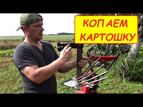 Видео: Копаем картофель мотоблоком, с помощью веерной картофелекопалки.
