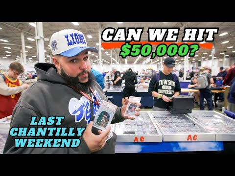 Видео: ПОСЛЕДНЕЕ ШОУ КАРТОЧЕК ШАНТИЛЬИ. ДЕНЬ 1. ВЛОГ 😳