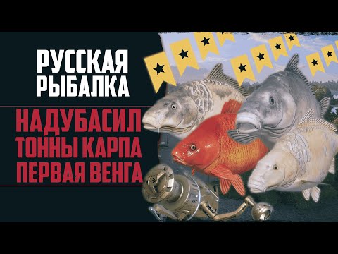 Видео: Новый Путь в РР4 #9 🔴 Фарм Большой Суммы на Венгу | Трофейная Раздача | Рыбалка на Цветных Карпов