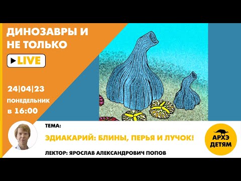 Видео: Занятие "Эдиакарий: блины, перья и лучок!" кружка "Динозавры и не только" с Ярославом Поповым