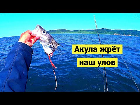Видео: Семья из Красноярска! Рыбалка с гостем! Выпуск №2 // Субтитры