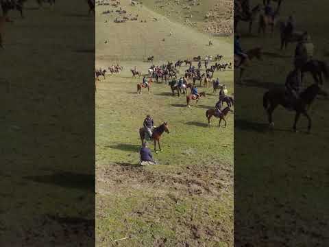 Видео: Бузкаши дар шаршар