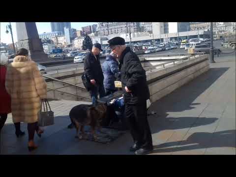 Видео: Владивосток и его люди .Реалити шоу нового проекта о хитах .Мэр Владивостока.