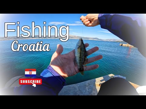 Видео: Рыбалка в адриатическом море