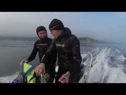 Видео: Подводная охота Японское море г. Находка.15.07.2021.