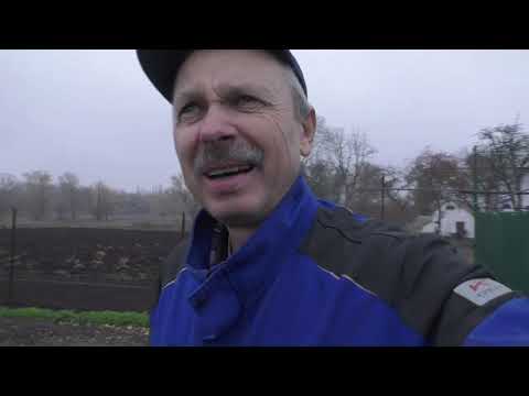 Видео: Посадка Малини від Вінницьких пацанів. Моя схема від А до Я