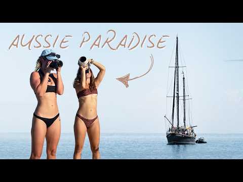 Видео: Лицом к лицу с самой большой акулой в океане 😱🦈