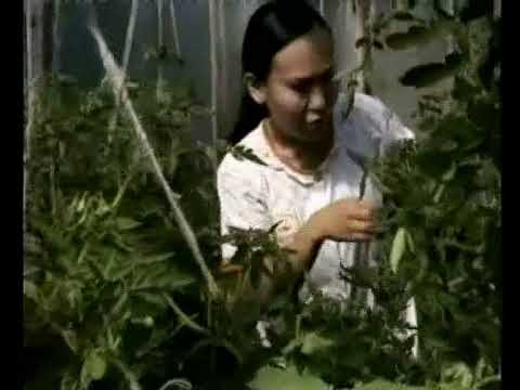 Видео: 2007 Дьыл5а5ыттан куотпаткын