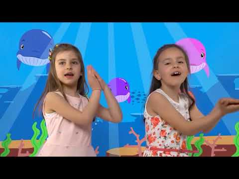 Видео: Вокална Група Мики Маус - "Бебе КИТ"