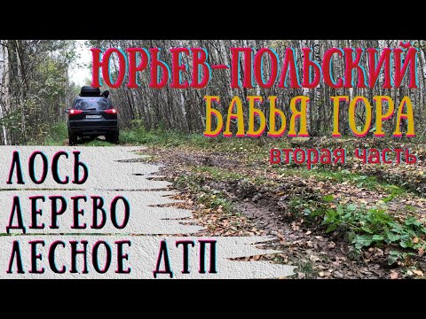 Видео: Маршрут ЮРЬЕВ-ПОЛЬСКИЙ - БАБЬЯ ГОРА вторая часть / Первые потери / Лесное ДТП / Здоровенный ЛОСЬ