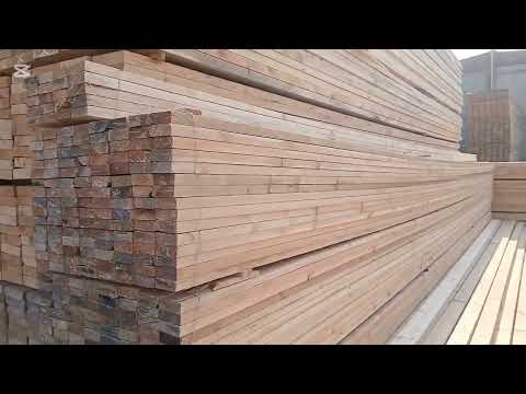 Видео: 3 февраля 2025 г.БОЗОРИ БАРАКАТ БАРОИ СОХТУМОНО НАРХОИ ТАХТО 😱😱😱😱👍👍+992 92 853.00.22 тел