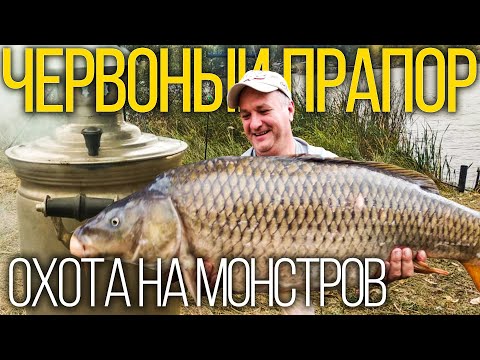 Видео: Охота на трофейного карпа. Червоный Прапор.Осенний Карпфишинг