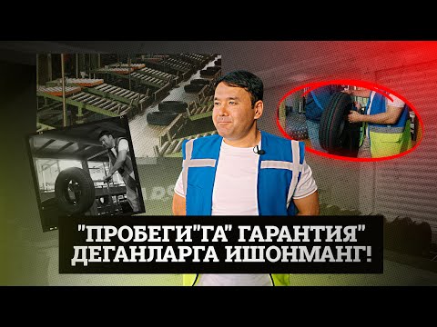 Видео: Дарахт қандай қилиб шинага айланади?