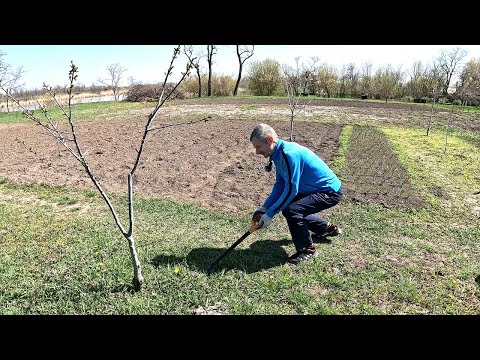 Видео: Аж самим не верится...