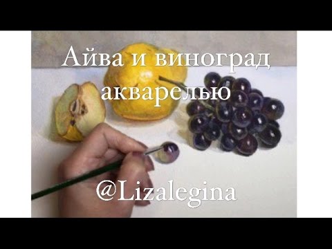 Видео: Как нарисовать айву и чёрный виноград акварелью