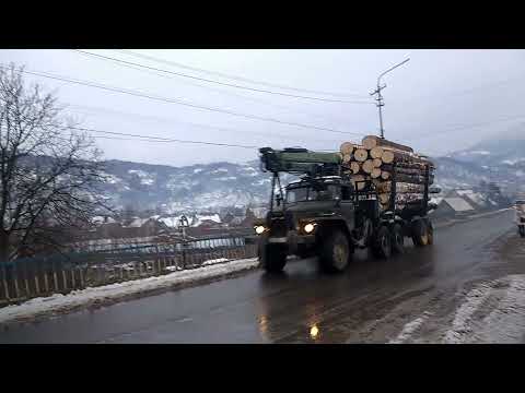 Видео: Дубове, закарпатье.