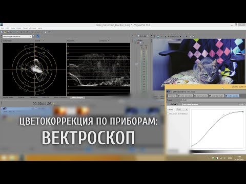 Видео: Цветокоррекция по приборам: вектроскоп