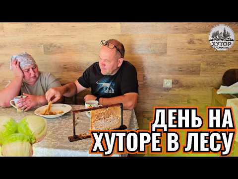 Видео: ХУТОРСКИЕ БУДНИ: СОБИРАЕМ УРОЖАЙ, УЛУЧШАЕМ ИНТЕРНЕТ И ГОТОВИМ ДОМ К СТРОЙКЕ. НА ШАГ БЛИЖЕ К МЕЧТЕ.
