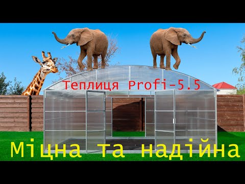Видео: Теплиця з полікарбонату Profi-5.5