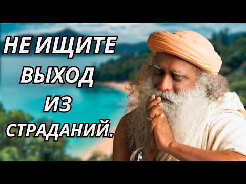 Видео: Почему я всегда спокоен?-Садхгуру#садхгуру