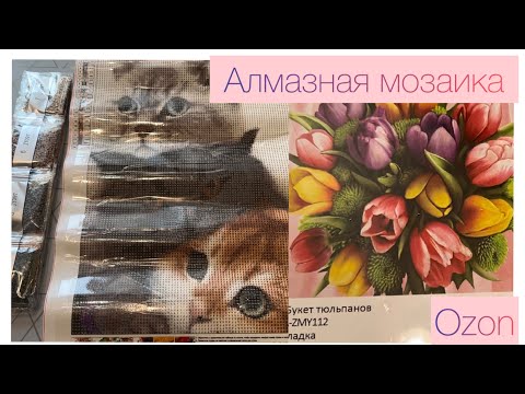 Видео: Алмазная мозаика из магазина  OZON 💎