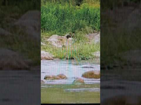 Видео: АртЫст Иванова . Вот это лепота ! Вкус " от Бога " . Зачем это хранить ?