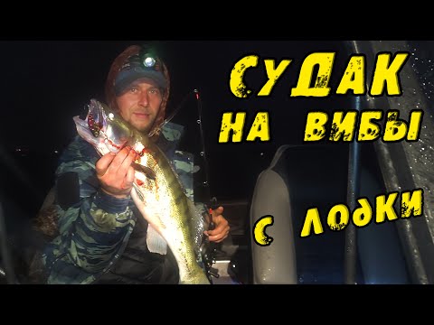 Видео: Ночной СУДАК на ВИБЫ! Хотели ловить на ВОБЛЕРЫ с Лодки, а поймали на ВИБ в отвес! Рыбалка на Судака.