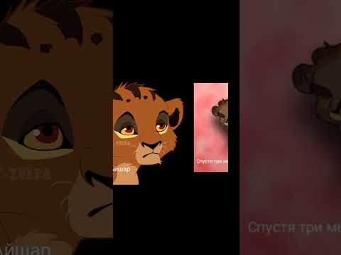 Видео: История Шрама