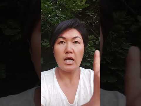 Видео: Англияга сельхоз жумушка келиш керекпи же...???