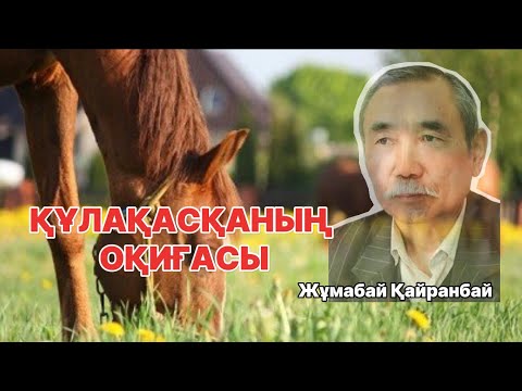 Видео: Қазақтың мәрттігі. ҚҰЛАҚАСҚАНЫҢ ОҚИҒАСЫ.