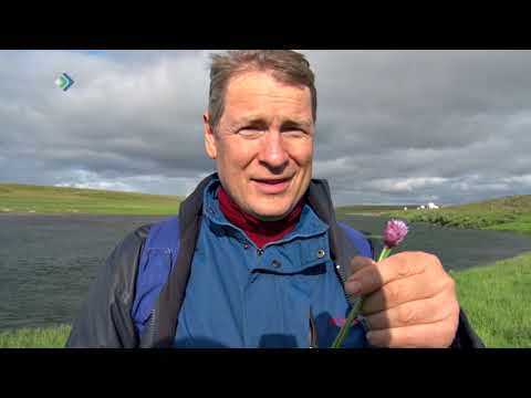 Видео: «Усть-Кара». Документальный фильм.