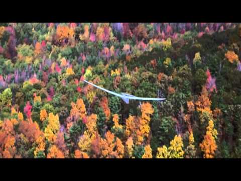 Видео: Алексей Рыбников - "Тема полёта"