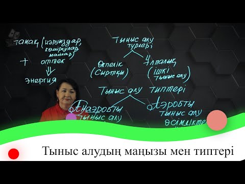 Видео: Тыныс алудың маңызы мен типтері. 7 сынып.