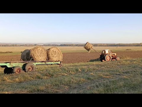 Видео: Трактор Т 40 АП.  Перевозим сено.