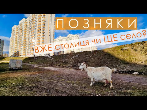 Видео: Такого на Позняках ви ще не бачили / Ферма в мегаполісі / найкрасивіша ковзанка столиці / РіверМолл