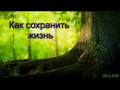 Видео: "Как сохранить жизнь". А. И. Бублик. Проповедь. МСЦ ЕХБ.