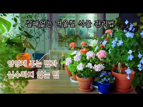 Видео: [4K]Как давать растениям питательные вещества зимой и советы, как избежать ошибок