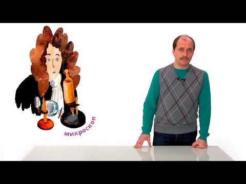Видео: 2. Чем живое отличается от неживого. Часть 1