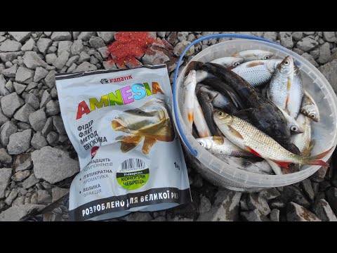 Видео: Наловили риби💥 на нову прикормку👍 великі бички та плітка розривають вудку🎣