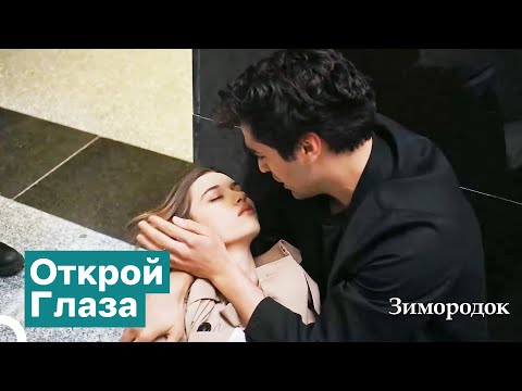 Видео: Сейран Вдруг Упала На Землю | Зимородок