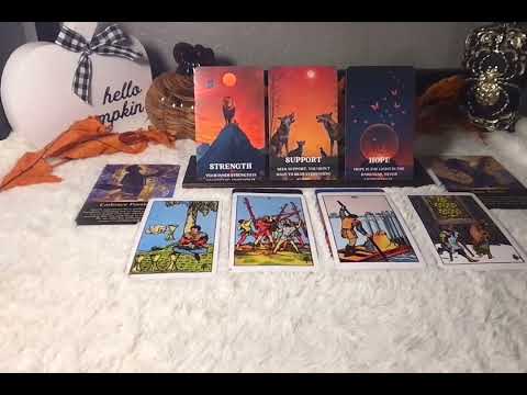 Видео: Ваши близкие могут дать вам совет ‼️