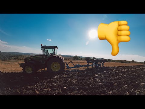 Видео: Джондир сипеться❗️❗️ оранку захейтили 👎👎. Що робити 🤷‍♂️