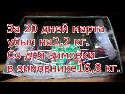 Видео: ТЕСТ ЗИМОВКА ПЧЁЛ БАКФАСТА, РЕЗУЛЬТАТ ЗИМОВКИ, ПОЕДАНИЯ КОРМА.ОСМОТР ТОЧКА🔥🔥🔥