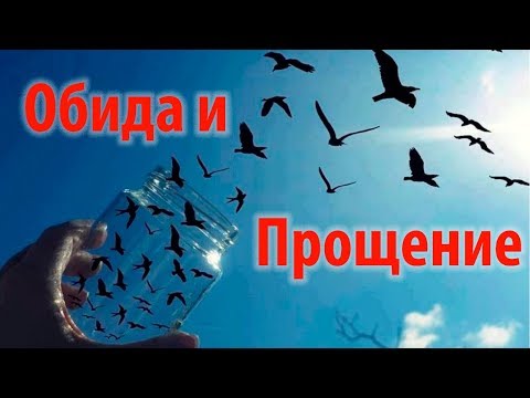 Видео: Обида и Прощение