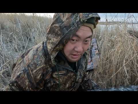 Видео: Арнасай урдак