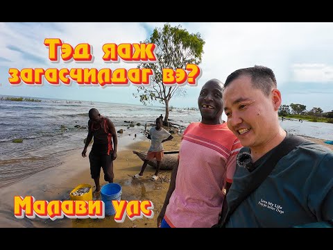 Видео: Нуурын эргийн аврикуудын амьдрал #Malawi EP #6 #munkhtselmeg #africa #travel #fishing #vlog #food