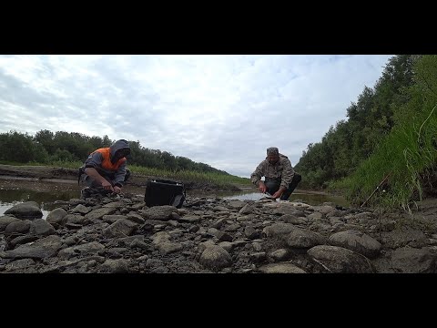 Видео: ЗА 1000 КМ. НА РЫБАЛКУ \ ДОБРАЛСЯ ДО РЕКИ ПЕЧОРА \ УТРЕННИЙ СПИННИНГ \ ЩУКА В ЭТОЙ ЛУЖЕ ЕСТЬ \ 2020!